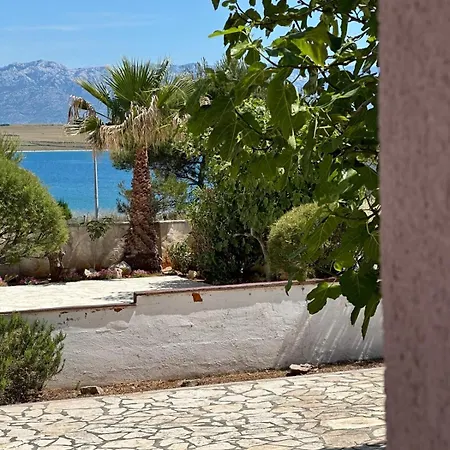 Island Of Apartament