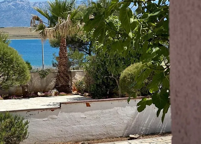 Island Of Apartment